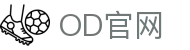 OD体育赛事入口 - 官方app下载平台